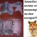 ���� �����, ���, 73 ���� - ��������� 23 ������� 2016 � ������ ������ ��������