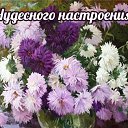 ���� �����, ������, 51 ��� - ��������� 3 ������� 2015 � ������ �������� ��������