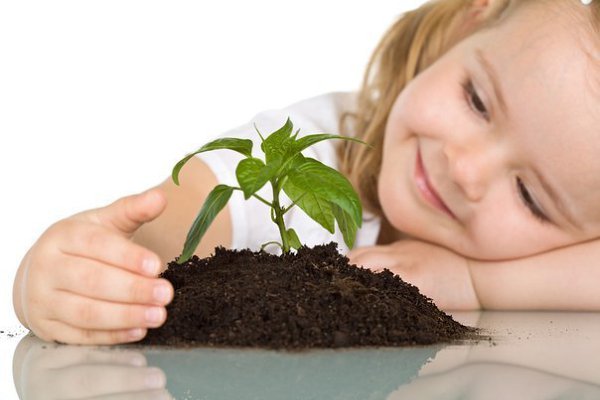          -     " "  -   : http://vk.com/creationoflife - 29  2015  09:34