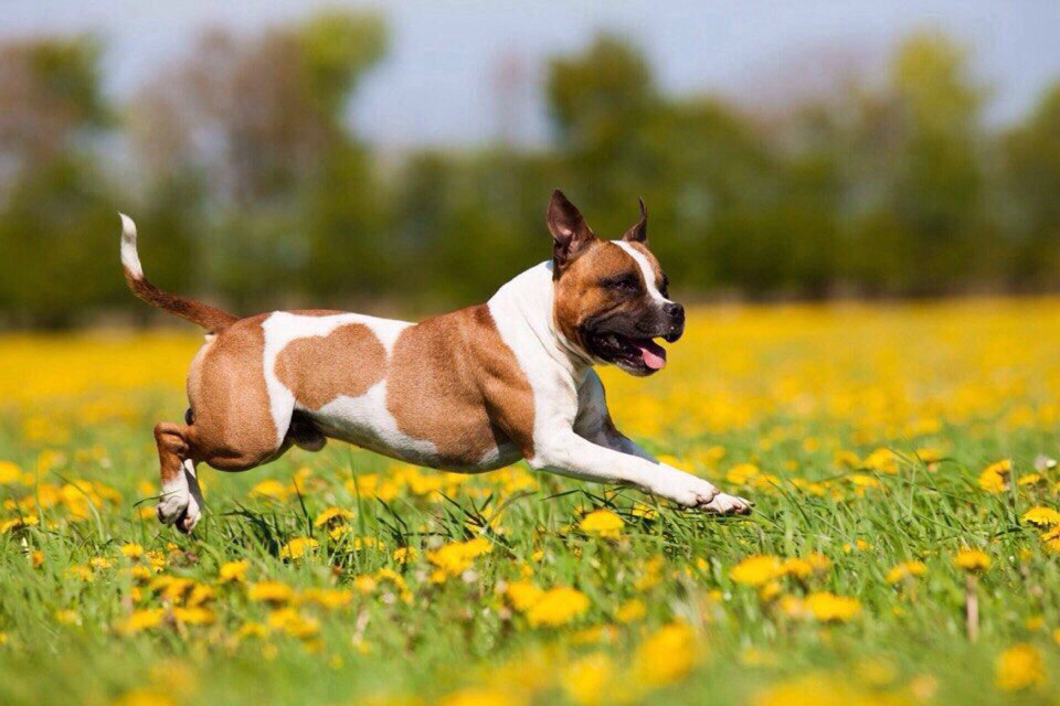 ������ ������ - 28 �������� 2015 � 21:06