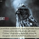���� Suat, ������, 68 ��� - ��������� 9 ������� 2016 � ������ �BJK�