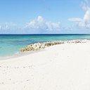 ���� ������, ��������, 50 ��� - ��������� 21 ������ 2016 � ������ ���� ����������