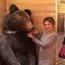 ���� �����, ����� ������, 58 ��� - ��������� 27 ������� 2015 � ������ ���� ����������