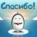 ���� �����, ���������, 39 ��� - ��������� 14 ������ 2016 � ������ �������� ��������