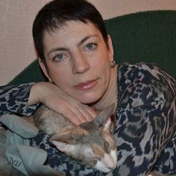 ���� ����, ���������, 56 ��� - ��������� 6 ������� 2015