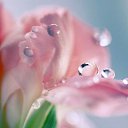 ���� �����!!������� ������, ������������ - ��������� 13 ������ 2015 � ������ ������ ��������