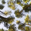 ���� Uncle-cross, ����, 49 ��� - ��������� 23 ������ 2016 � ������ ���� ����������