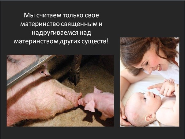 �������� � ������, ����� �������� �� ������ ����� ����� � �����, � ��� ������� - �������. ����� ��� ... - 3