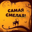 ���� ���� 147 " ����", ������� - ��������� 23 ������� 2015 � ������ �������