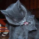 ���� �����, ������ - ��������� 9 ������� 2016 � ������ ������ ��������