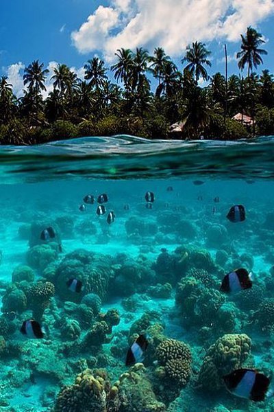 �������� - 2