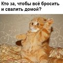 ���� ����, ���������, 38 ��� - ��������� 6 ������� 2015 � ������ ������ ��������