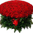 ���� *Ni��*, ������ - ��������� 26 ������ 2016 � ������ ���� ����������