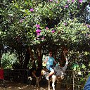 ���� Alexander, ������ ��������, 38 ��� - ��������� 4 ������� 2015 � ������ ���� ����������