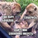 ���� �������, ������, 53 ���� - ��������� 26 ������� 2015 � ������ ���� ����������
