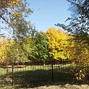 ����� �� �������... �� ������� ���� ����������