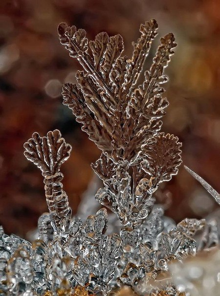 ����������� ���������.�������� ������ ������� - 2