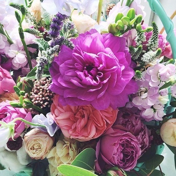 ���� � ������� - 21 ������� 2015 � 03:29