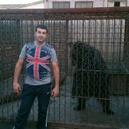 ����, 41 ���, ����������