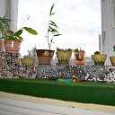 ���� �������, ������, 74 ���� - ��������� 7 ������ 2015 � ������ ���� ����������