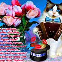 ���� �������, ����� - ��������� 11 ������� 2015 � ������ ������ ��������
