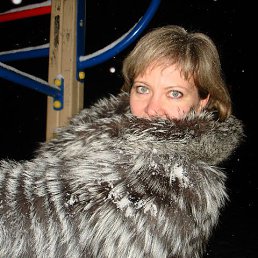 �������, ���������, 52 ����