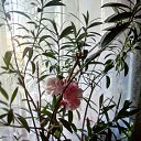 ���� ����, ������������, 72 ���� - ��������� 19 ������� 2015 � ������ ������ ��������