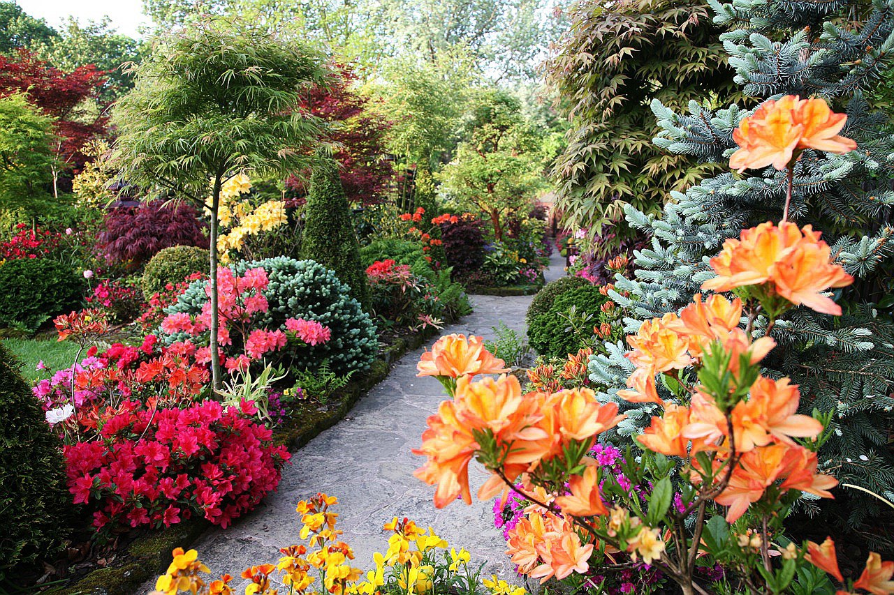 С какого года сад. Райский сад пейзажный стиль. Рододендрон садовый в Англии. Рододендрон и лилейник в ландшафтном. Осенние цветы в саду.