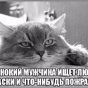 ���� ���, ��������� - ��������� 20 ������ 2015 � ������ ���� ����������