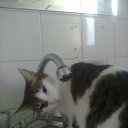 ���� �� ��������� �������!! �� ������� ���� �������� � ������ �����...�