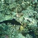 ���� �������, �����-���������, 78 ��� - ��������� 22 ������ 2016 � ������ ���� ����������