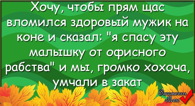 �������������� �� ���: <a href=