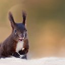 ���� ����, �������, 47 ��� - ��������� 10 ������� 2015 � ������ ������ ��������