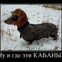 ���� Sti, ����-���, 43 ���� - ��������� 30 ������� 2015 � ������ ������ ��������