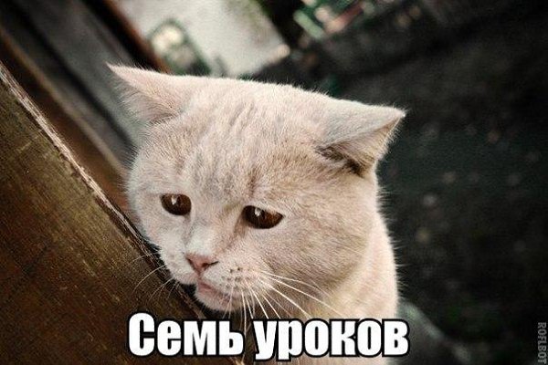 ? ,  ! - 31  2016  05:56