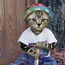 ���� �������, ���������, 57 ��� - ��������� 4 ����� 2016 � ������ ���� ����������