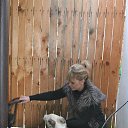 ���� ����, �����, 60 ��� - ��������� 2 ����� 2016 � ������ �.�