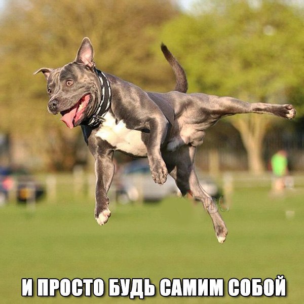       !)) - 6