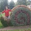 ���� �������, ������, 68 ��� - ��������� 13 ������� 2015 � ������ ���� ����������