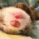 ���� ����, ������, 48 ��� - ��������� 24 ������ 2016 � ������ ������ ��������