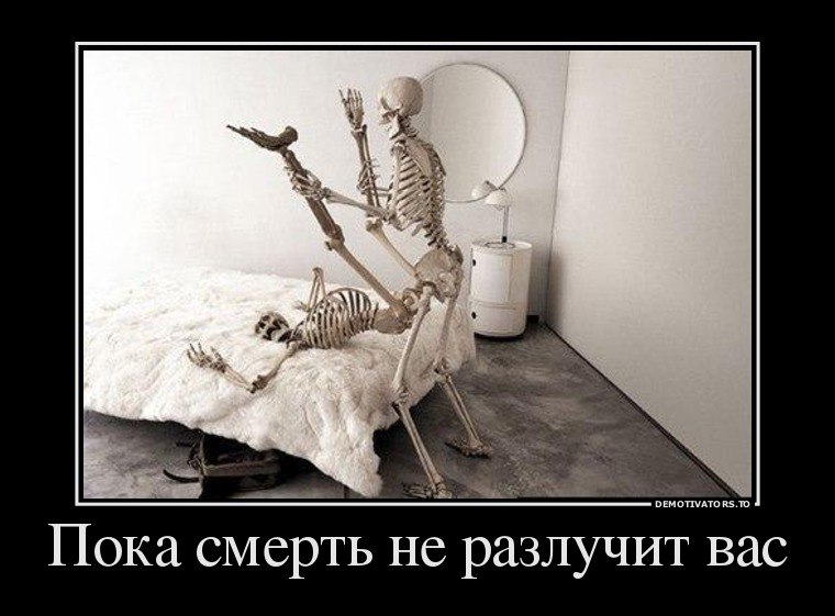 ▓░▓   ▓░▓ - 28  2015  20:26