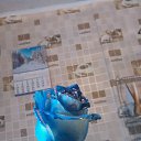 ���� ������, ������, 49 ��� - ��������� 13 ������� 2015 � ������ ���� ����������