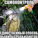 ���� ����, �����-��������� - ��������� 10 ������� 2015 � ������ ������ ��������