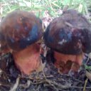 ���� �, ����, 47 ��� - ��������� 27 �������� 2015 � ������ ���� ����������