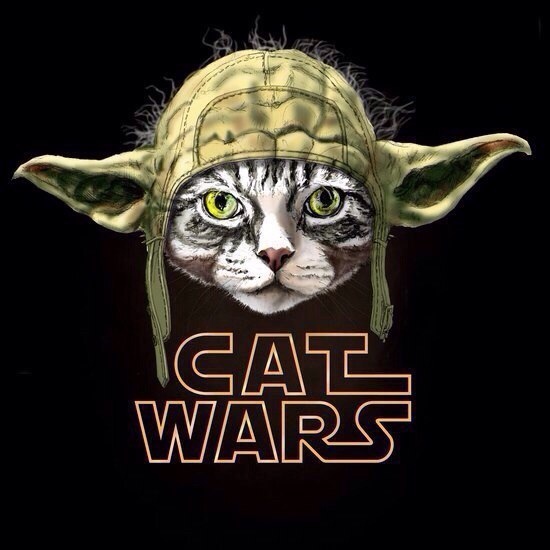 Cat wars