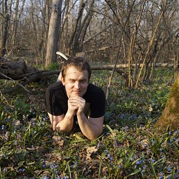 �����, �������, 37 ���