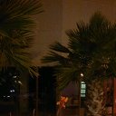  ,  , 60  -  19  2015    