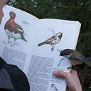 ���� ����, ���������, 48 ��� - ��������� 7 ��� 2016 � ������ ������, ��������)))�