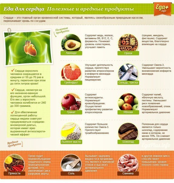 Еда для органов в картинках. #интересное@cooklove - 3