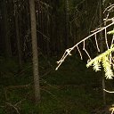 ���� ������, �����, 65 ��� - ��������� 2 �������� 2016 � ������ ������ �������� 2015�.�